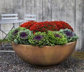 Photo of Campania Contour - Exclusively Campania